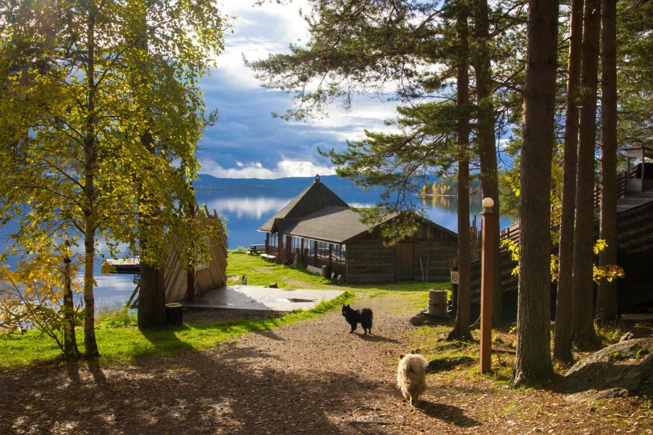 Herranniemi Guesthouse Vuonislahti Buitenkant foto